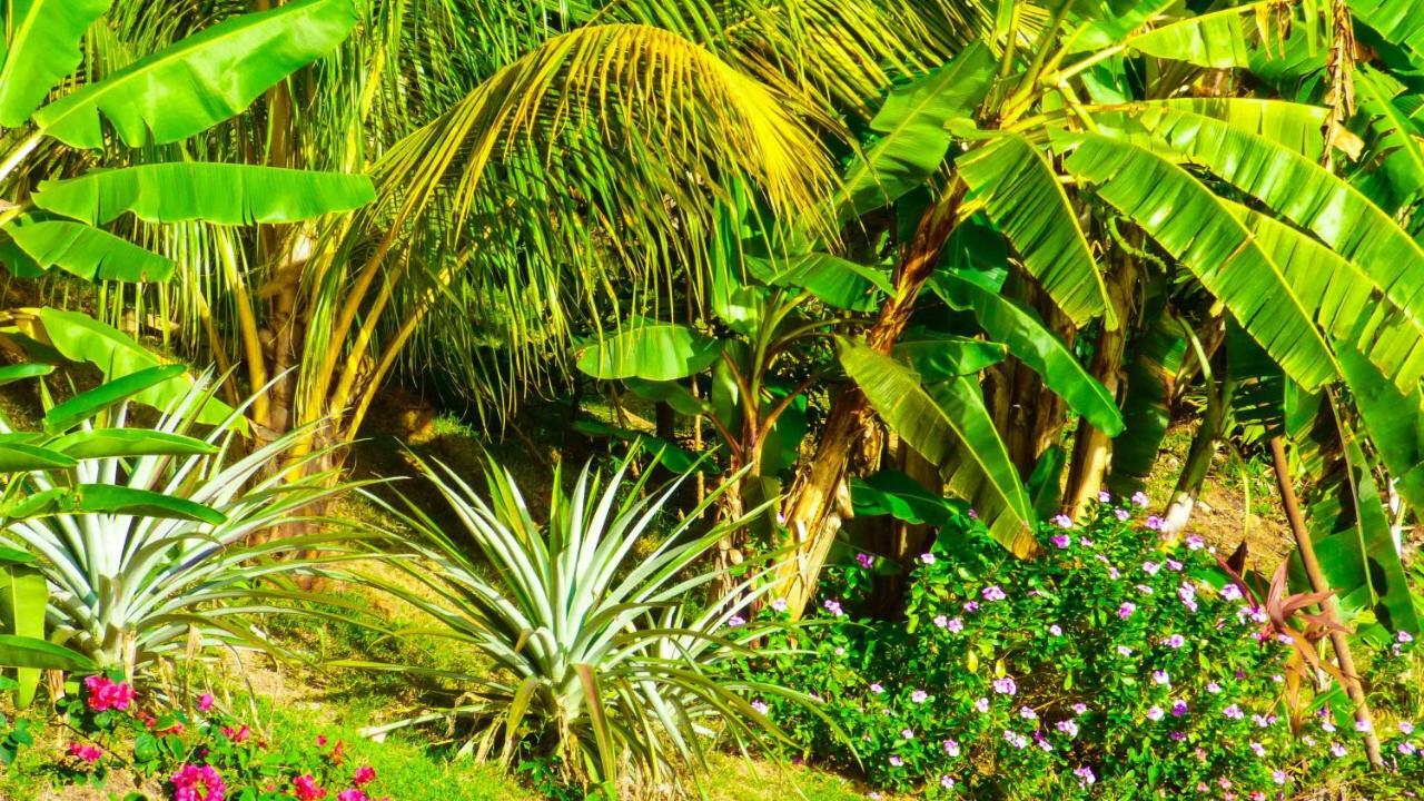 Mouggae Blues Villas Beau Vallon  Exterior photo